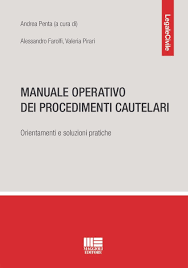 Manuale operativo dei procedimenti cautelari