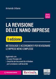 La Revisione delle nano imprese