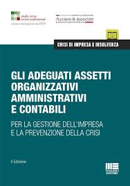 adeguati assetti organizzativi amministrativi